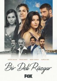 Постер к Сумасшедший ветер смотреть онлайн на HD Rezka