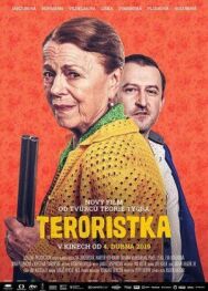 Постер к Террористка смотреть онлайн на HD Rezka
