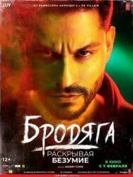 Постер к Бродяга: Раскрывая безумие смотреть онлайн на HD Rezka