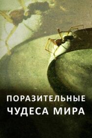 Постер к Поразительные чудеса мира смотреть онлайн на HD Rezka