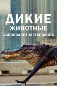 Постер к Дикие животные: Завоевание мегаполиса смотреть онлайн на HD Rezka