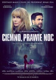 Постер к Темно, почти ночь смотреть онлайн на HD Rezka