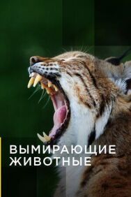 Постер к Вымирающие животные смотреть онлайн на HD Rezka