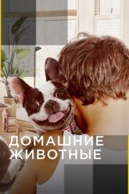 Постер к Домашние животные смотреть онлайн на HD Rezka