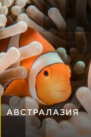 Постер к Австралазия смотреть онлайн на HD Rezka