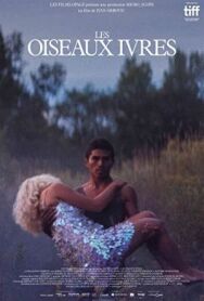 Постер к Пьяные пташки смотреть онлайн на HD Rezka