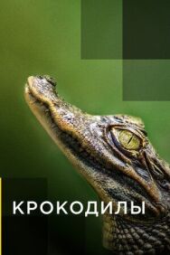 Постер к Крокодилы смотреть онлайн на HD Rezka