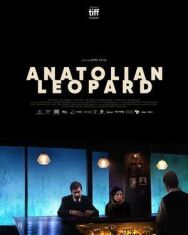 Постер к Анатолийский леопард смотреть онлайн на HD Rezka