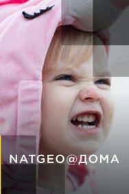 Постер к NatGeo@Дома смотреть онлайн на HD Rezka