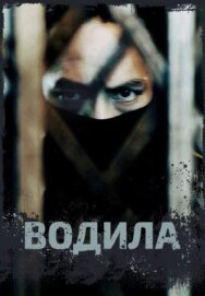 Постер к Водила смотреть онлайн на HD Rezka