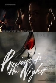 Постер к Драгоценная ночь смотреть онлайн на HD Rezka