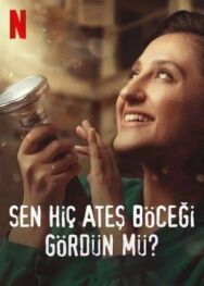 Постер к Вы когда-нибудь видели светлячков? смотреть онлайн на HD Rezka