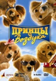 Постер к Принцы воздуха смотреть онлайн на HD Rezka