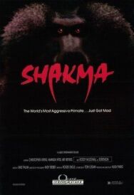 Постер к Шакма смотреть онлайн на HD Rezka