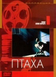 Постер к Птаха смотреть онлайн на HD Rezka