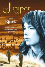 Постер к Можжевеловое дерево смотреть онлайн на HD Rezka