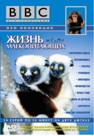 Постер к BBC: Жизнь млекопитающих смотреть онлайн на HD Rezka