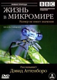 Постер к BBC: Жизнь в микромире смотреть онлайн на HD Rezka