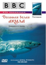 Постер к BBC: Большая белая акула смотреть онлайн на HD Rezka