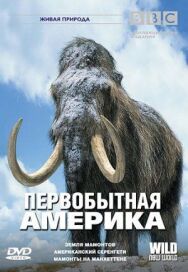 Постер к BBC: Первобытная Америка смотреть онлайн на HD Rezka