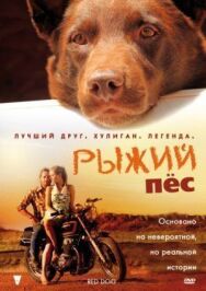 Постер к Рыжий пес смотреть онлайн на HD Rezka