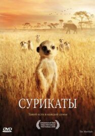 Постер к Сурикаты смотреть онлайн на HD Rezka