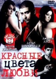 Постер к Красные цвета любви смотреть онлайн на HD Rezka