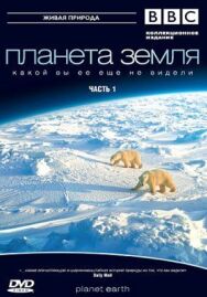 Постер к Планета Земля 2 смотреть онлайн на HD Rezka