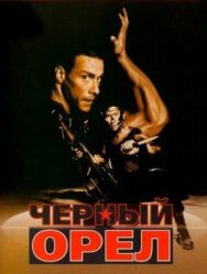 Постер к Черный орел смотреть онлайн на HD Rezka