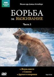 Постер к BBC: Борьба за выживание смотреть онлайн на HD Rezka