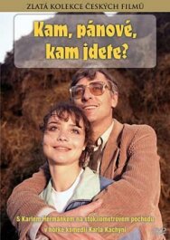 Постер к Куда, товарищи, куда идете? смотреть онлайн на HD Rezka