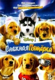 Постер к Снежная пятерка смотреть онлайн на HD Rezka
