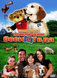 Постер к Большое приключение Осси и Теда смотреть онлайн на HD Rezka