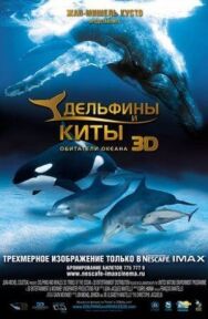 Постер к Дельфины и киты 3D смотреть онлайн на HD Rezka