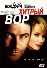 Постер к Хитрый вор смотреть онлайн на HD Rezka