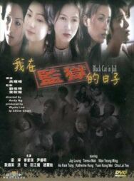 Постер к Чёрная кошка 3: В тюрьме смотреть онлайн на HD Rezka