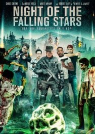 Постер к Night of the Falling Stars смотреть онлайн на HD Rezka