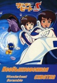Постер к Необыкновенная схватка смотреть онлайн на HD Rezka