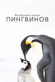 Постер к Встречайте семью пингвинов смотреть онлайн на HD Rezka