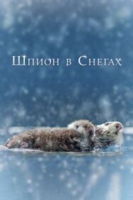 Постер к Шпион в снегах смотреть онлайн на HD Rezka
