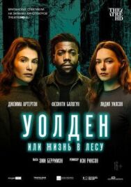 Постер к Уолден, или Жизнь в лесу смотреть онлайн на HD Rezka