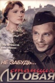Постер к Не забудь... станция Луговая смотреть онлайн на HD Rezka