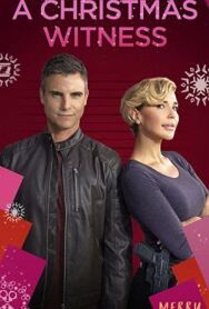 Постер к Рождественский свидетель смотреть онлайн на HD Rezka