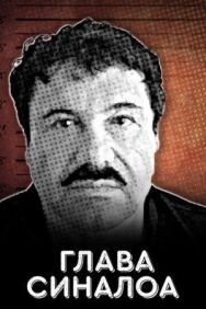 Постер к Глава Синалоа смотреть онлайн на HD Rezka