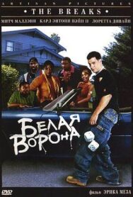 Постер к Белая ворона смотреть онлайн на HD Rezka