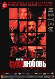 Постер к Сука-любовь смотреть онлайн на HD Rezka