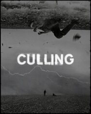 Постер к Culling смотреть онлайн на HD Rezka