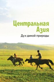 Постер к Центральная Азия. Дух дикой природы смотреть онлайн на HD Rezka