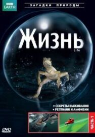 Постер к BBC: Жизнь смотреть онлайн на HD Rezka