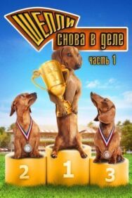 Постер к Шелли снова в деле смотреть онлайн на HD Rezka